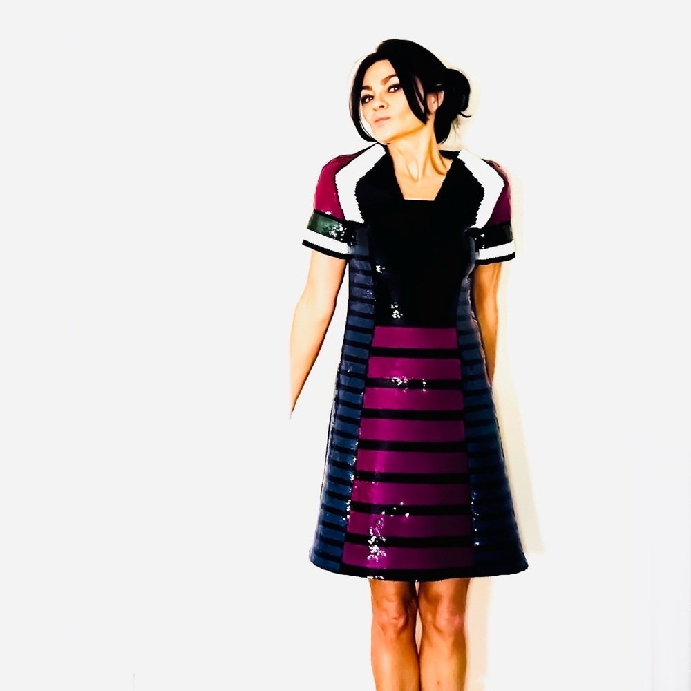 Cedric Charlier Sequin Striped A-line Reto Short Sleeved Cocktail Dress 4 / I 38